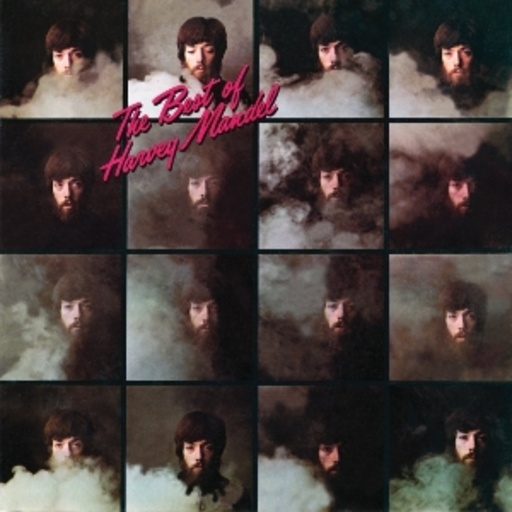 Harvey Mandel – Best Of