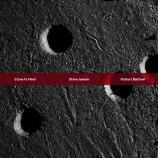 Steve Jansen & Richard Barbieri – Stone To Flesh
