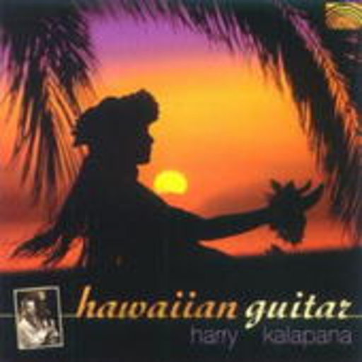 Hawaiian Guitar