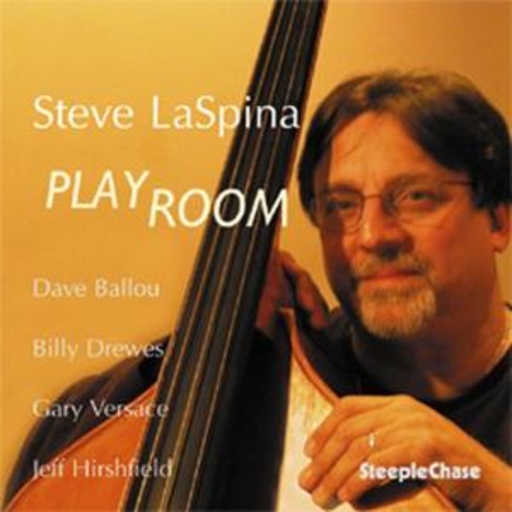Steve LaSpina – Play Room