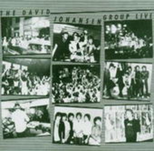 The David Johanson Group – Live 1977