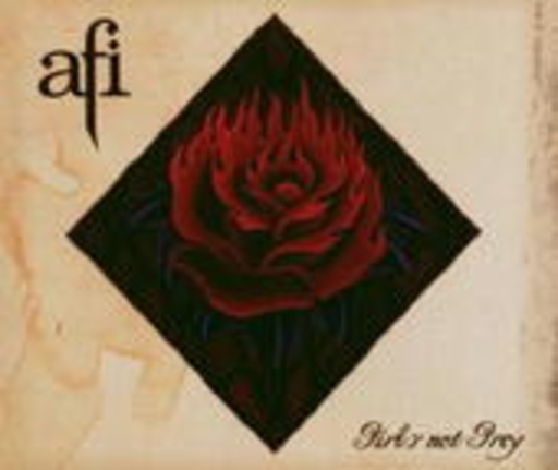 AFI – Girls Not Grey