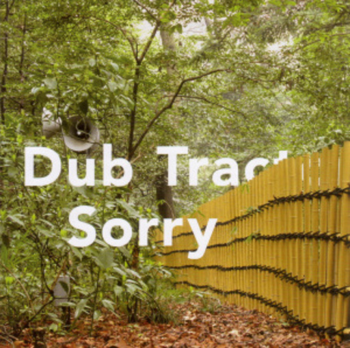 Dub Tractor – Sorry