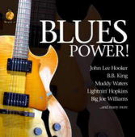 The World Of Blues Power