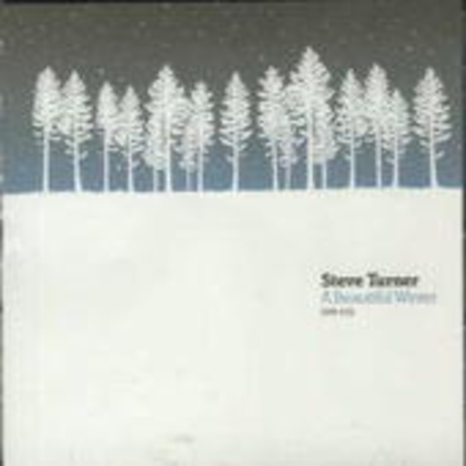 A Beautiful Winter