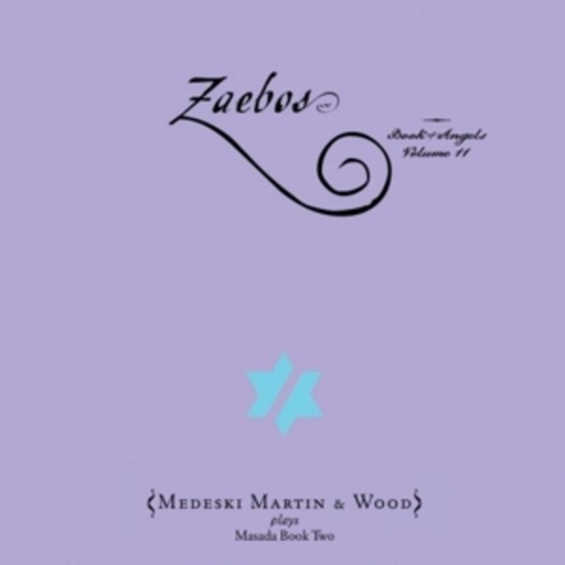 Martin Medeski And Wood – Zaebos: The Book Of Angels Vol. 11