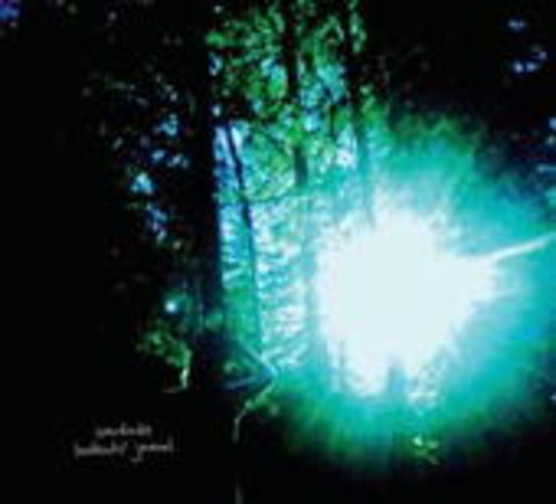 Saudade – Lookout's Journal