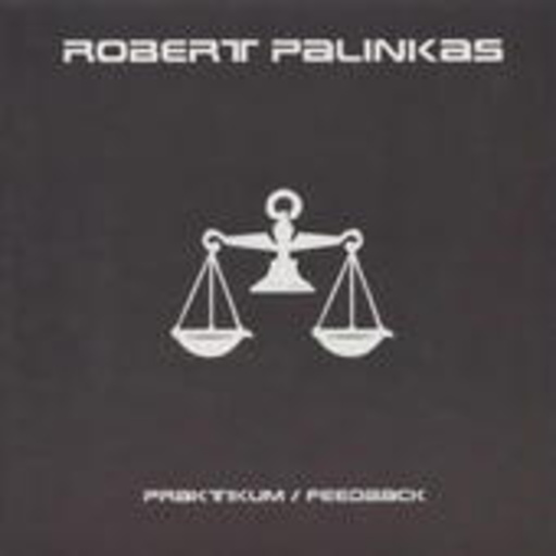 Robert Palinkas – Praktikum/Feedback