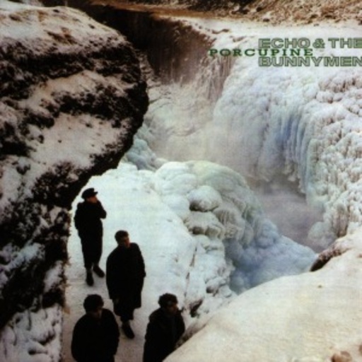 Echo & The Bunnymen – Porcupine