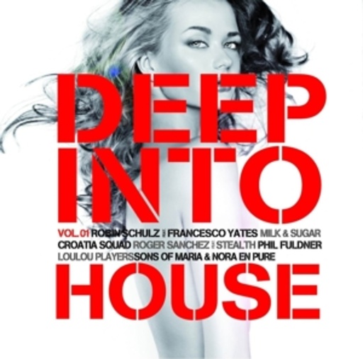 Diverse – Deep Into House Vol. 1