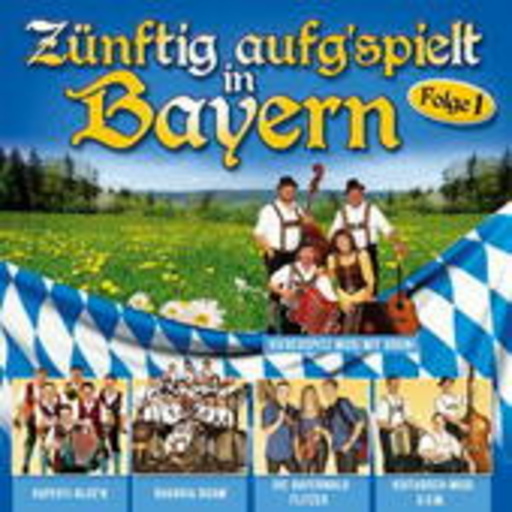 Diverse – Zünftig aufgspielt in Bayern
