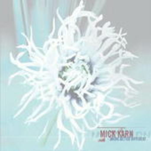 Mick Karn – More Better Different