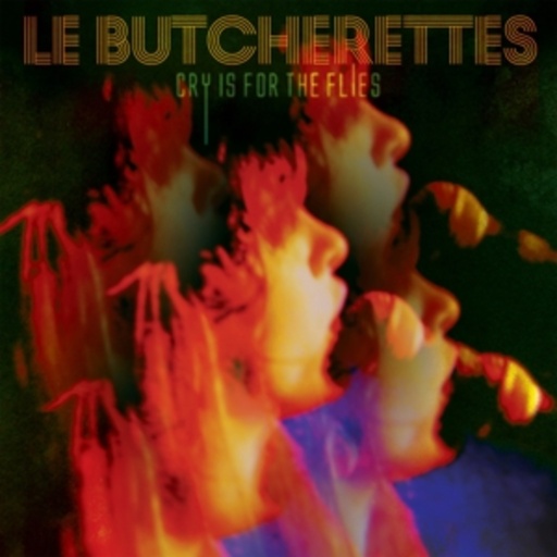 Le Butcherettes – Cry Is For The Flies