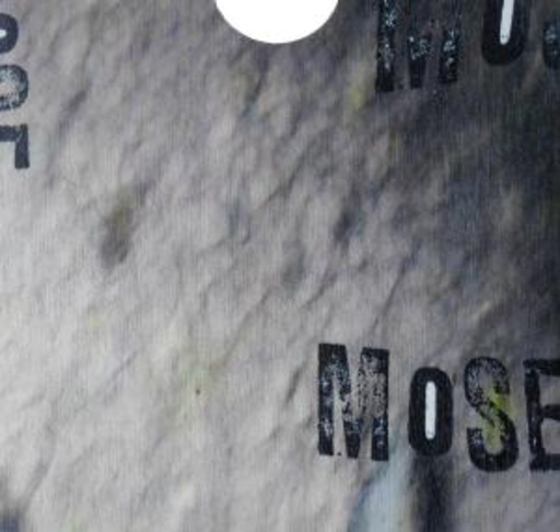 Mose – Mose
