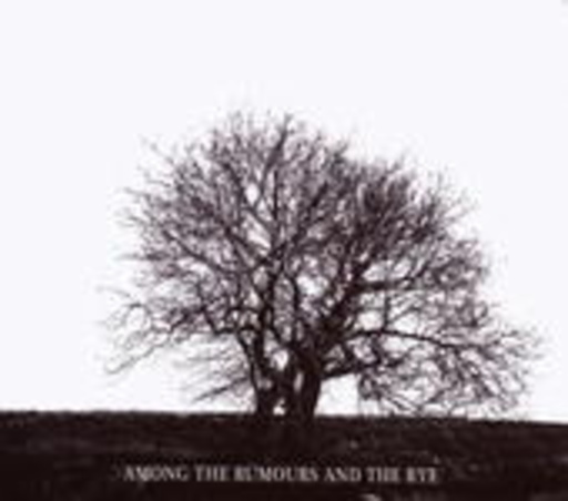 Mr. David Viner – Among The Rumours And The Rye