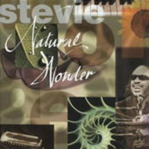 Stevie Wonder – Natural Wonder (Live)