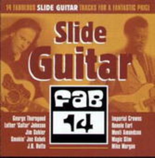 Slide Guitar (Fab 14)
