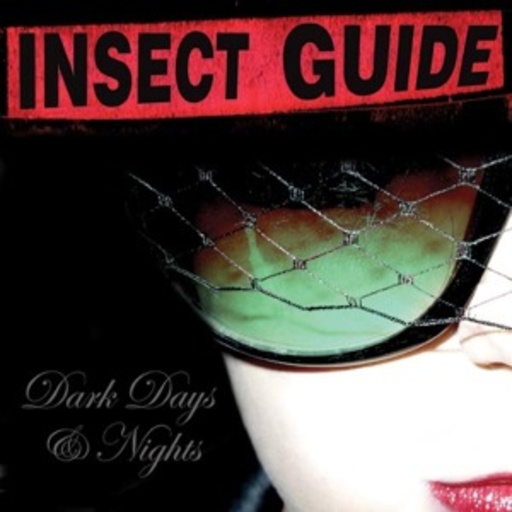 The Insect Guide – Dark Days And Nights