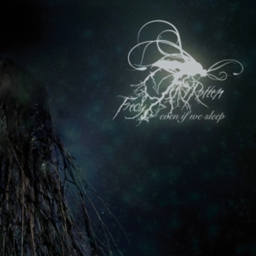 Fredy Rotten – Even If We Sleep