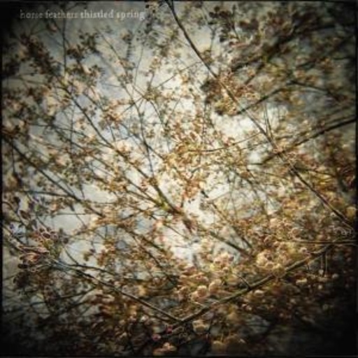Horse Feathers – Thistled Spring