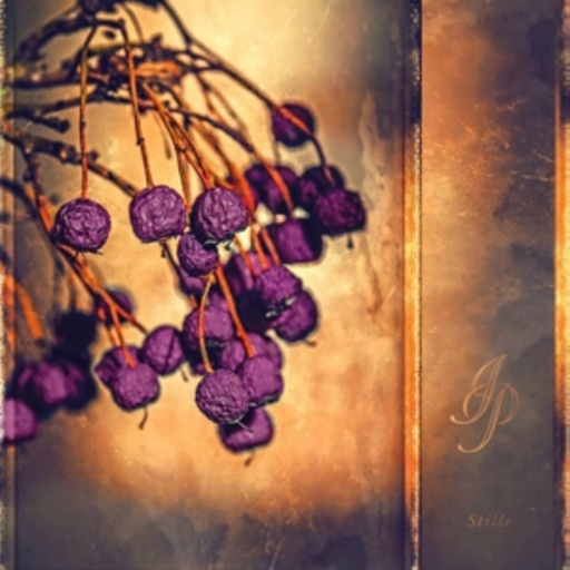 Indigo Pearls – Stille
