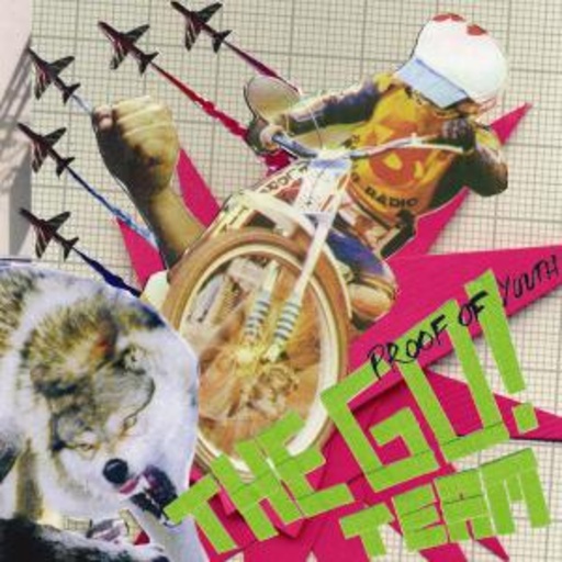 The Go! Team – Proof Of Youth