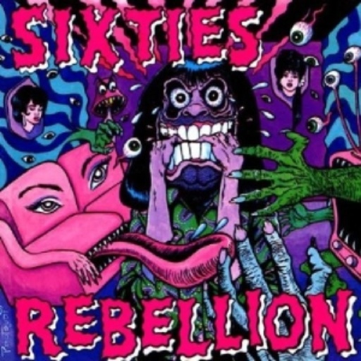 Sixties Rebellion 16