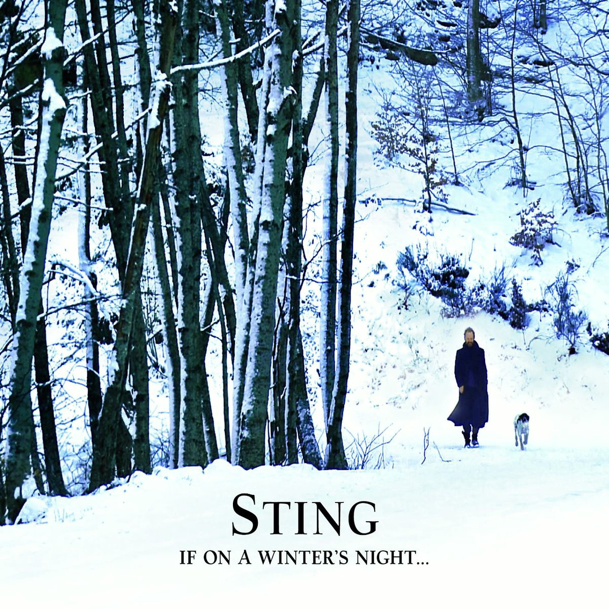 Sting – If On A Winter's Night