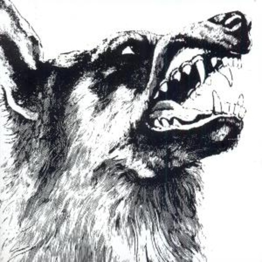 Crippled Black Phoenix – I, Vigilante