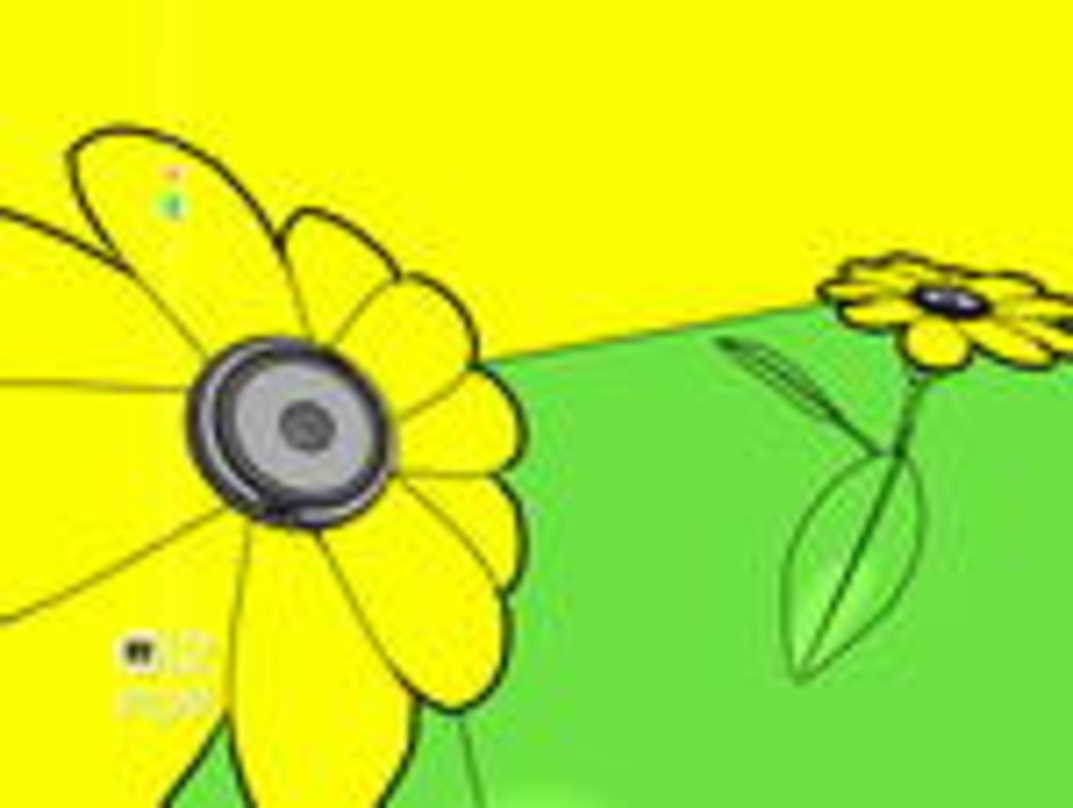 Lässt Blumen sprechen: das neue Design von MTV2 Pop