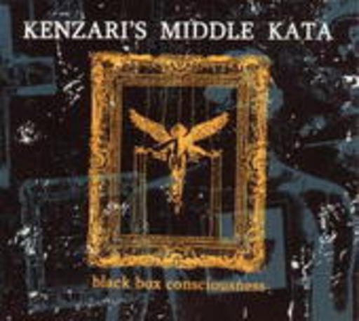 Kenzari's Middle Kata – Black Box Consciousness