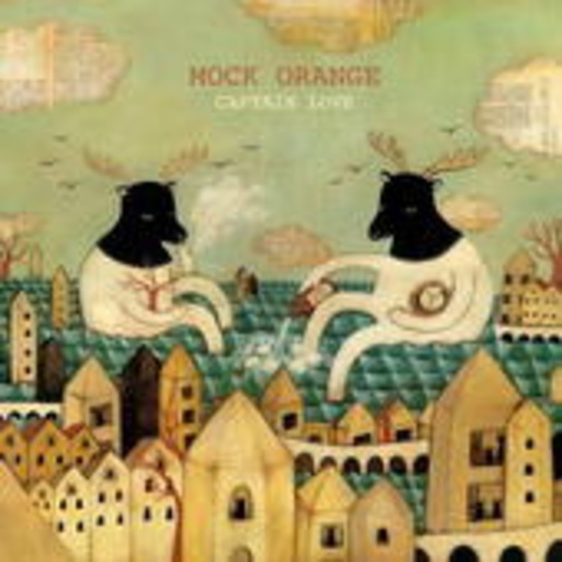 Mock Orange – Captain Love