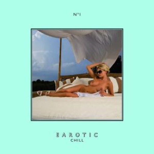 Diverse – Earotic - Chill