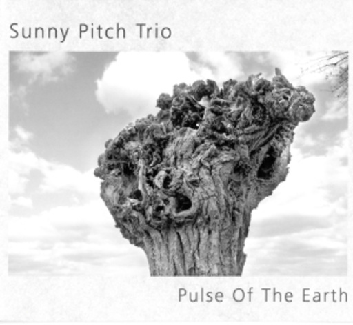 Sunny Pitch Trio – Pulse On The Earth