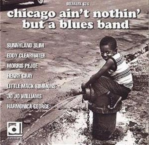 Diverse – Chicago Ain't Nothing Like A Blues Band