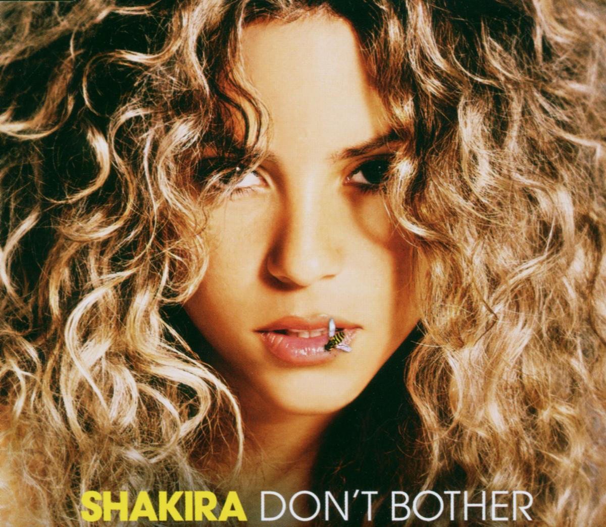 Shakira – Don't Bother