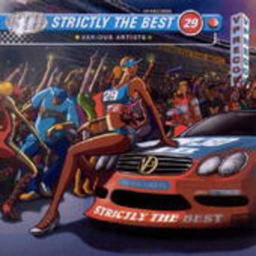 Strictly The Best Vol. 29
