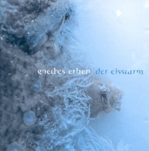 Goethes Erben – Der Eissturm