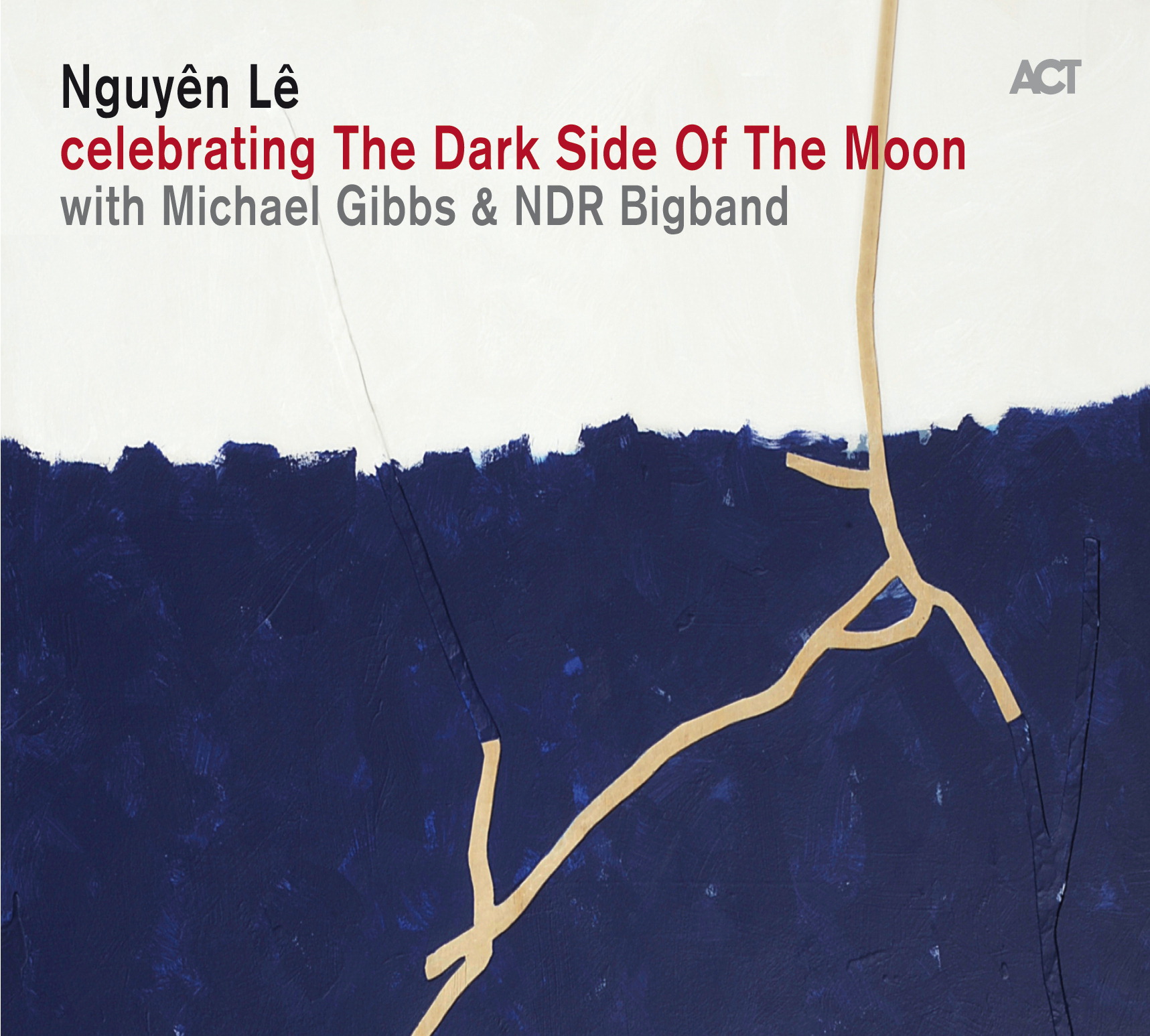 Nguyên Lê – Celebrating The Dark Side Of The Moon