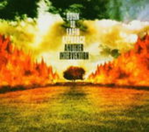 Down To Earth Approach – Another Intervention