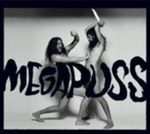 Megapuss – Surfing