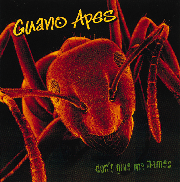 Guano Apes – Don't Give Me Names