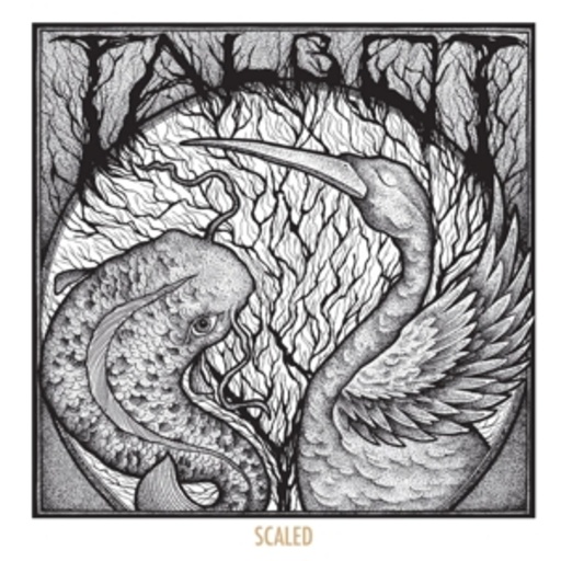 Talbot – Scaled