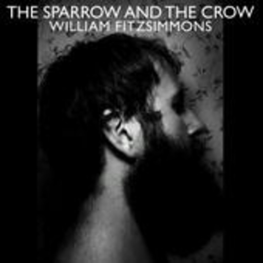 William Fitzsimmons – The Sparrow And The Crow