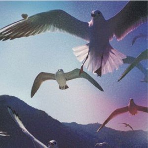 Takkyu Ishino – Cruise