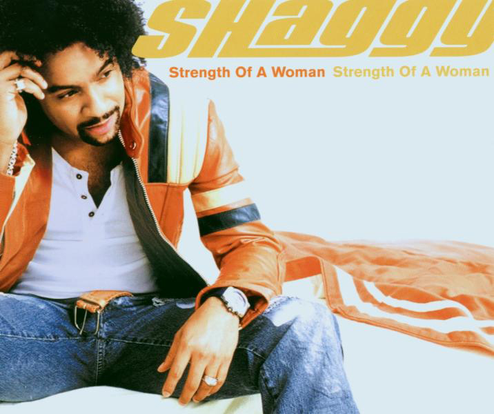 Shaggy – Strength Of A Woman