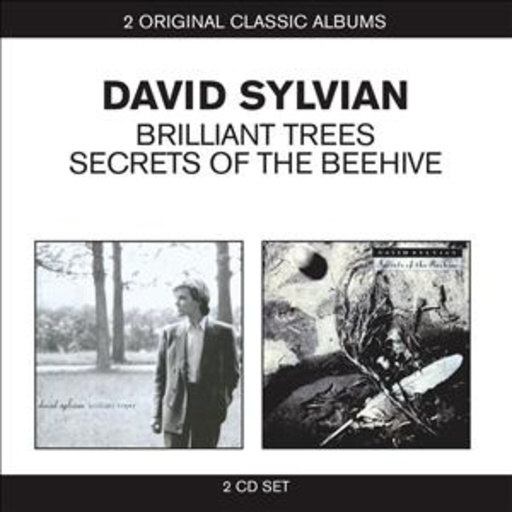 David Sylvian – Brilliant Trees/Secrets Of The Beehive