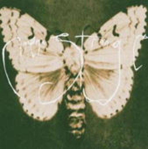 Cinema Strange – Cinema Strange