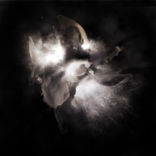 Nerdy – In A Dim Light