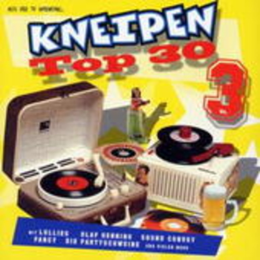 Diverse – Kneipen Top 30 Vol. 3